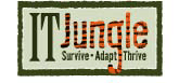 ITJungle.com